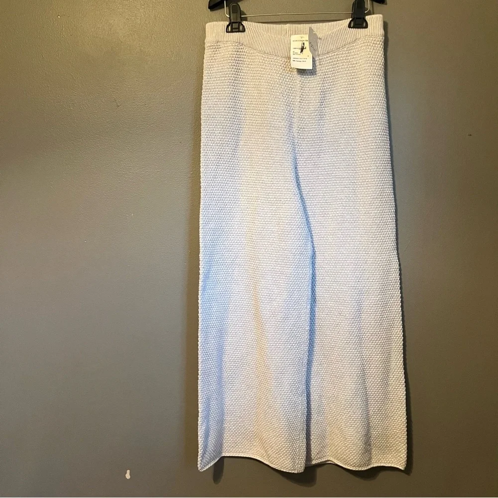 Free People Wide Leg Knit Pants in Light Blue